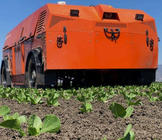 Стартап FarmWise создал робота для прополки и удаления сорняков